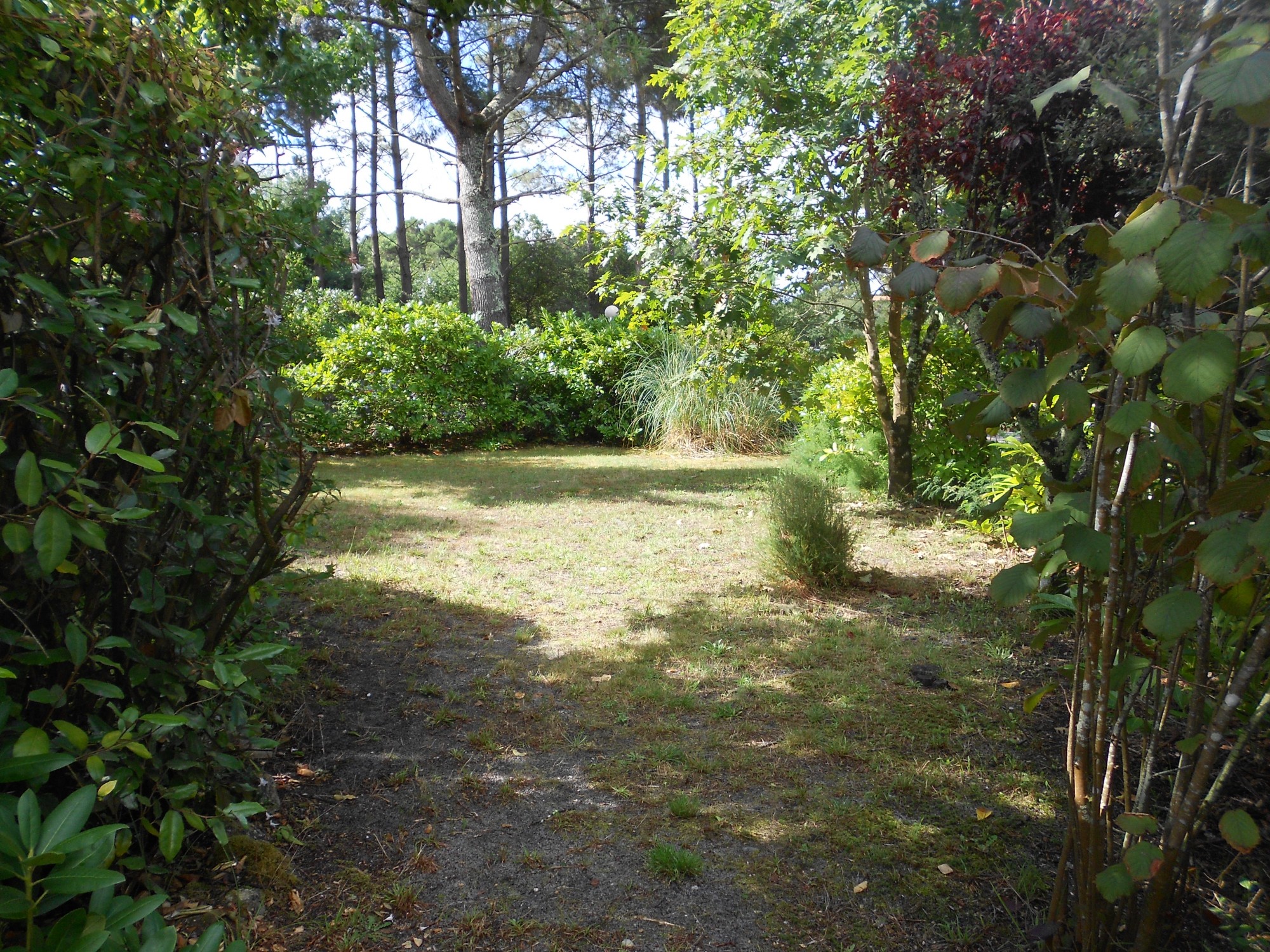 Terrain